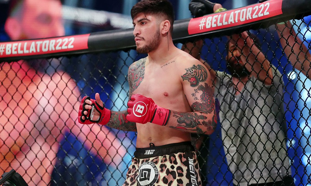 dillon danis bellator 222 3