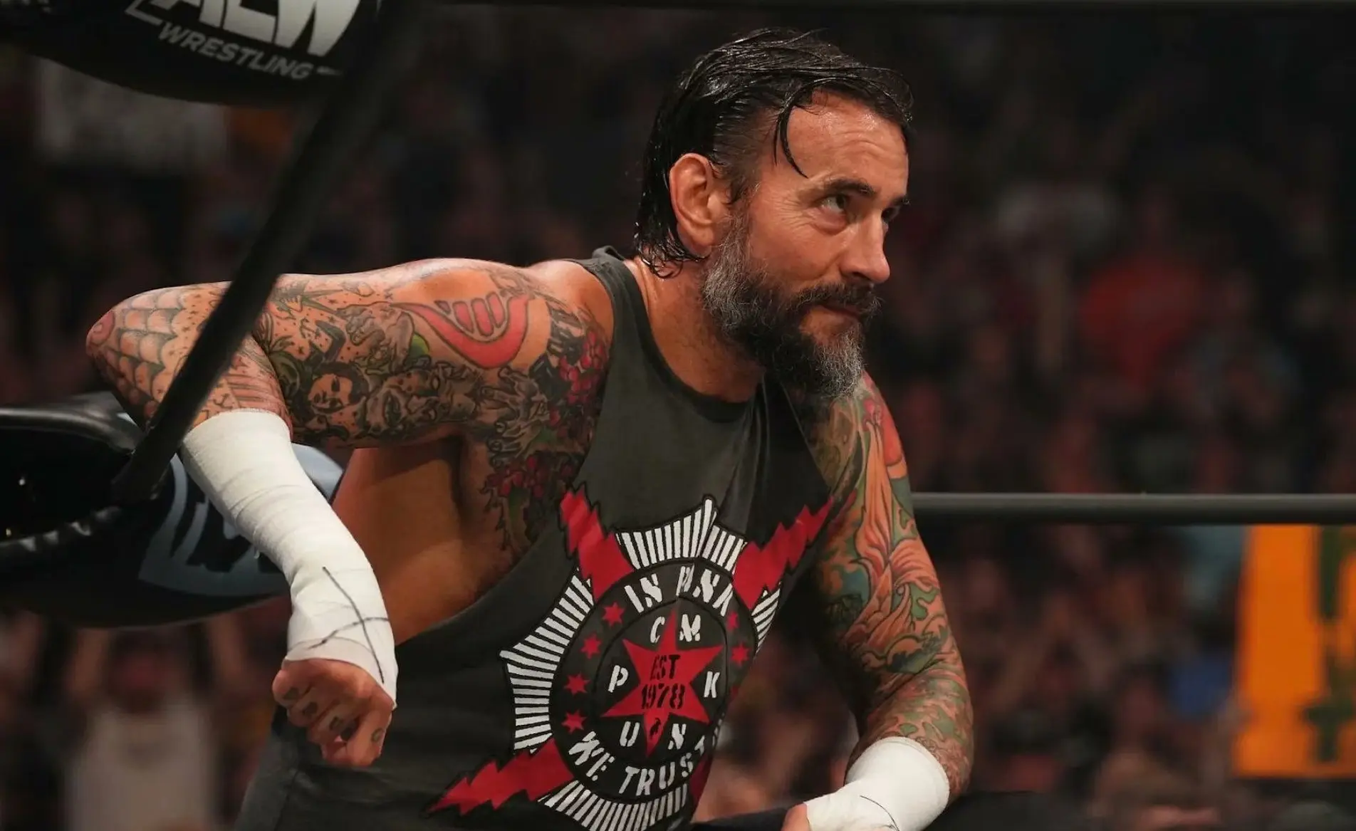 CM Punk