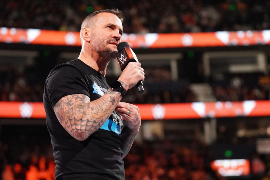 CM Punk in WWE Raw