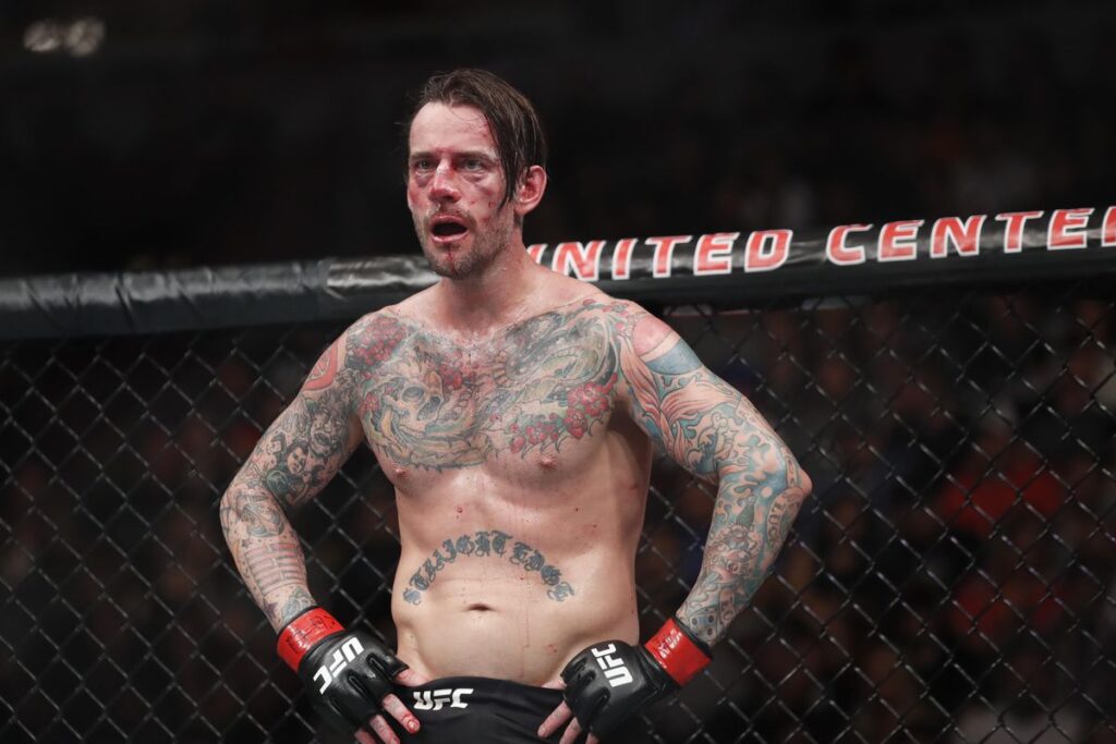 CM Punk in Octagon