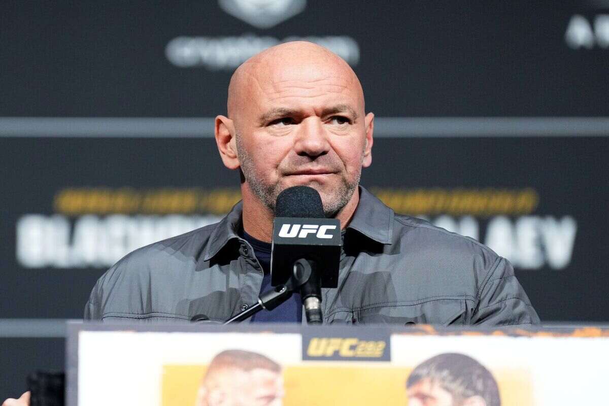 Dana White