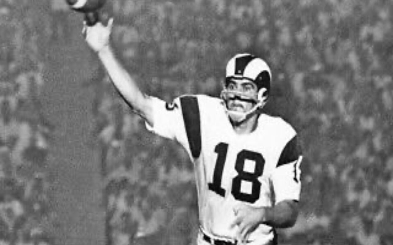 Roman Gabriel