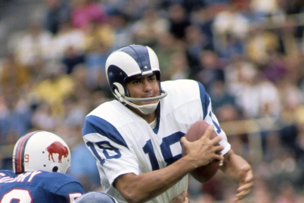 Roman Gabriel 